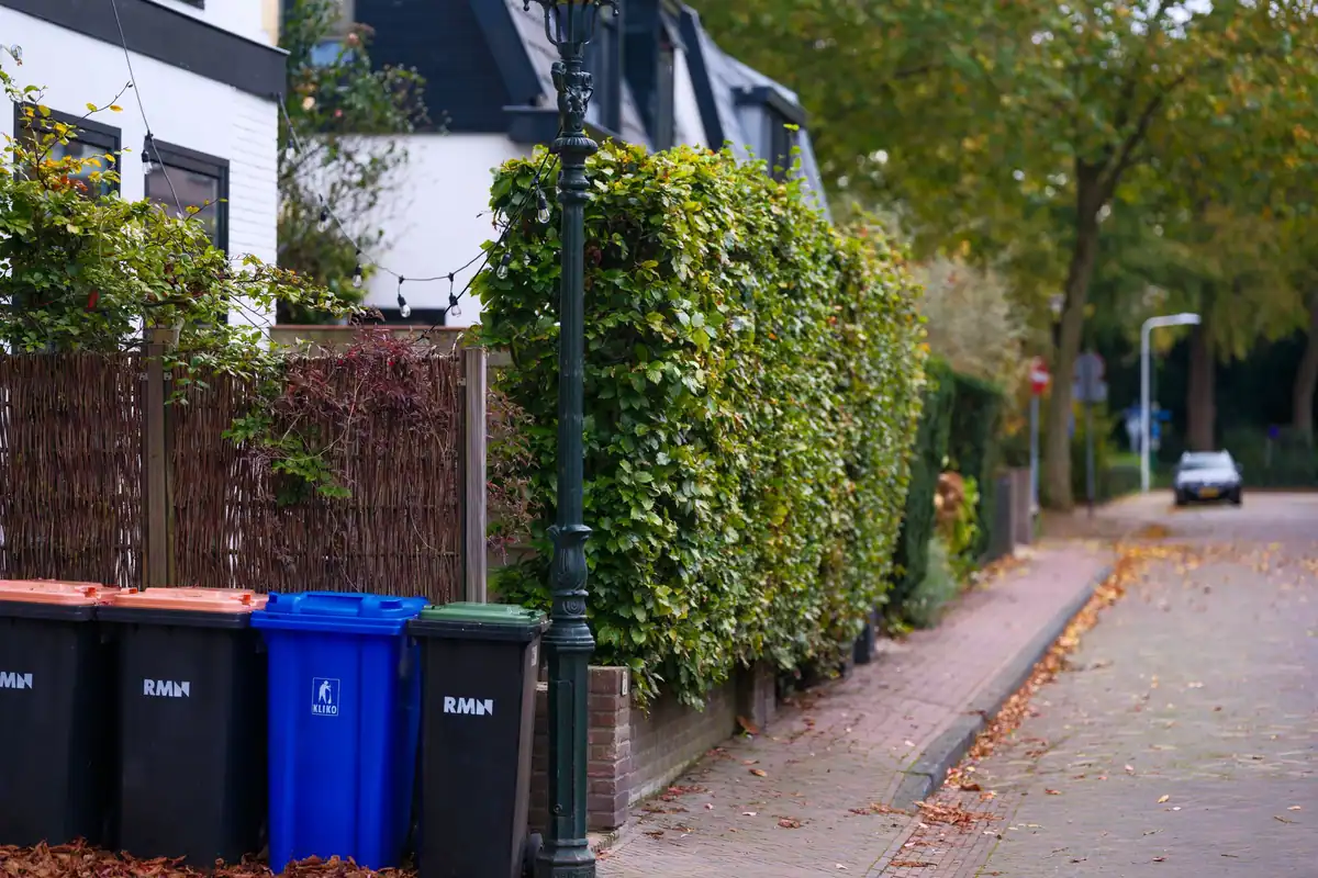 Stradă rezidențială liniștită cu pubele de reciclare și frunze de toamnă pe trotuar