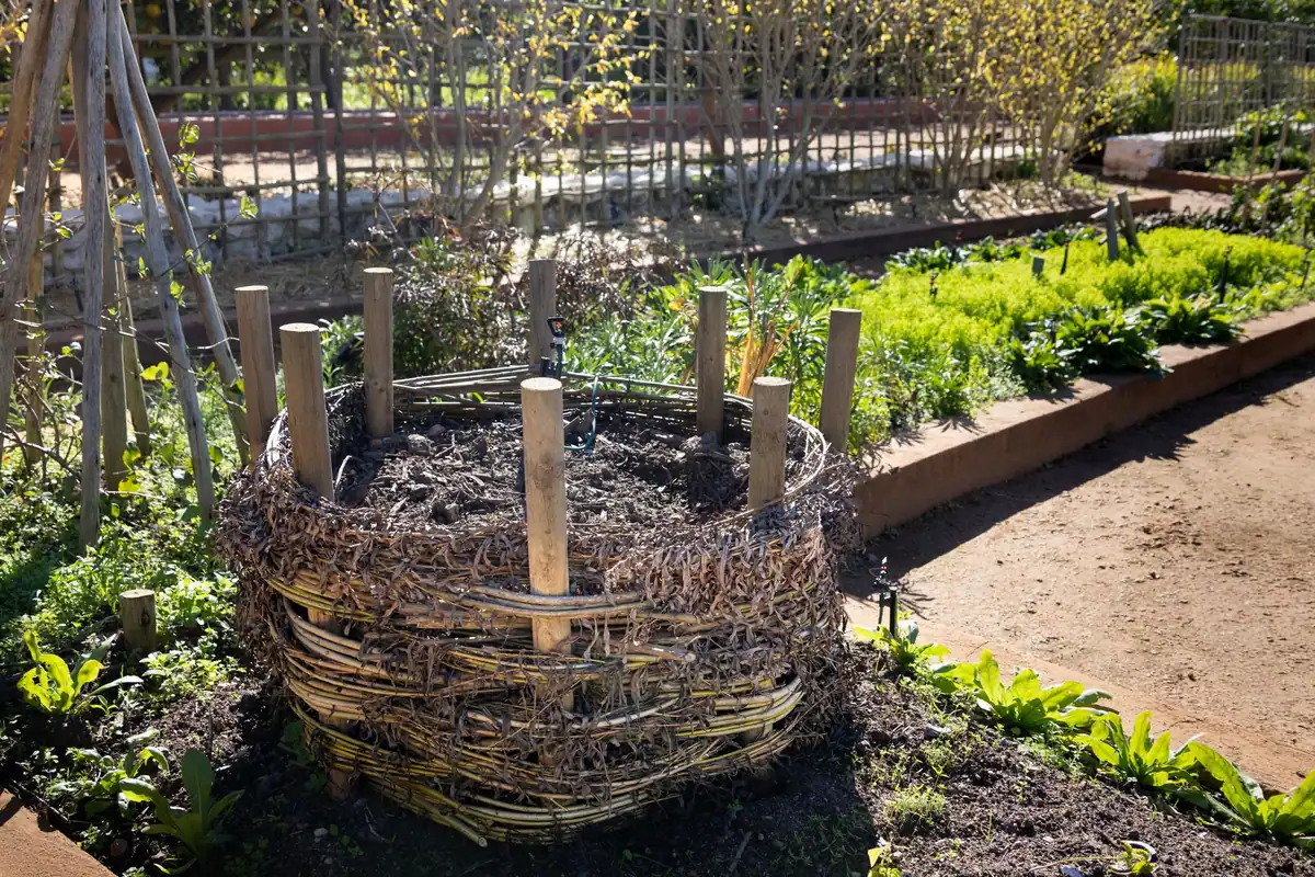 Compostor împletit într-o grădină verde, înconjurat de plante de primăvară
