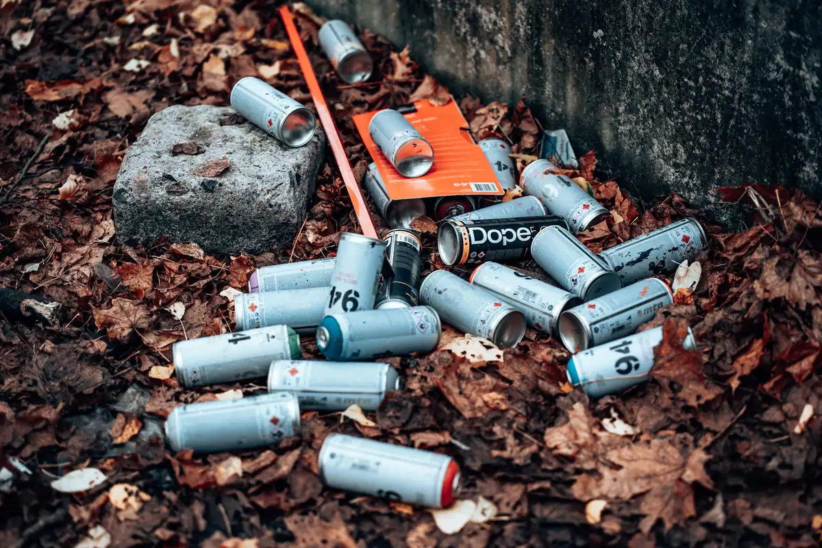 Spray-uri goale aruncate printre frunze de toamnă, deșeuri periculoase lăsate pe jos