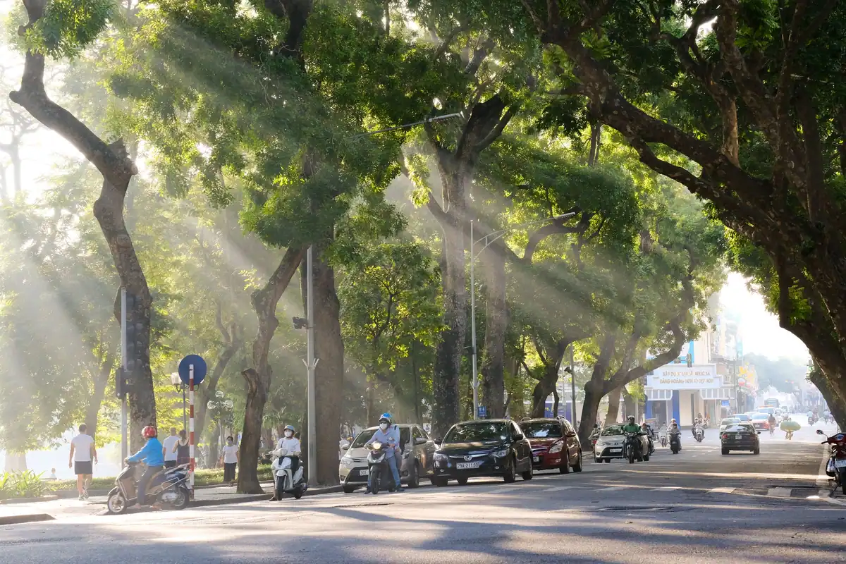 Stradă urbană însorită cu mașini, scutere și copaci care aruncă umbră răcoroasă